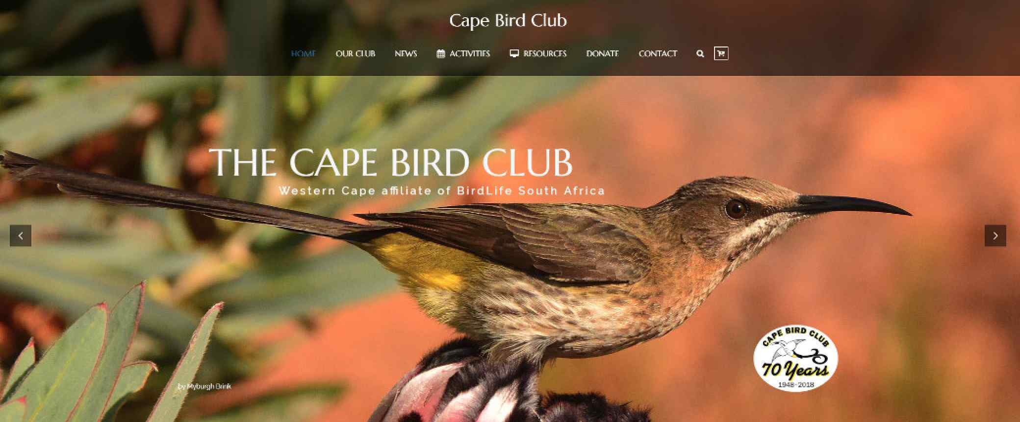 Cape Bird Club