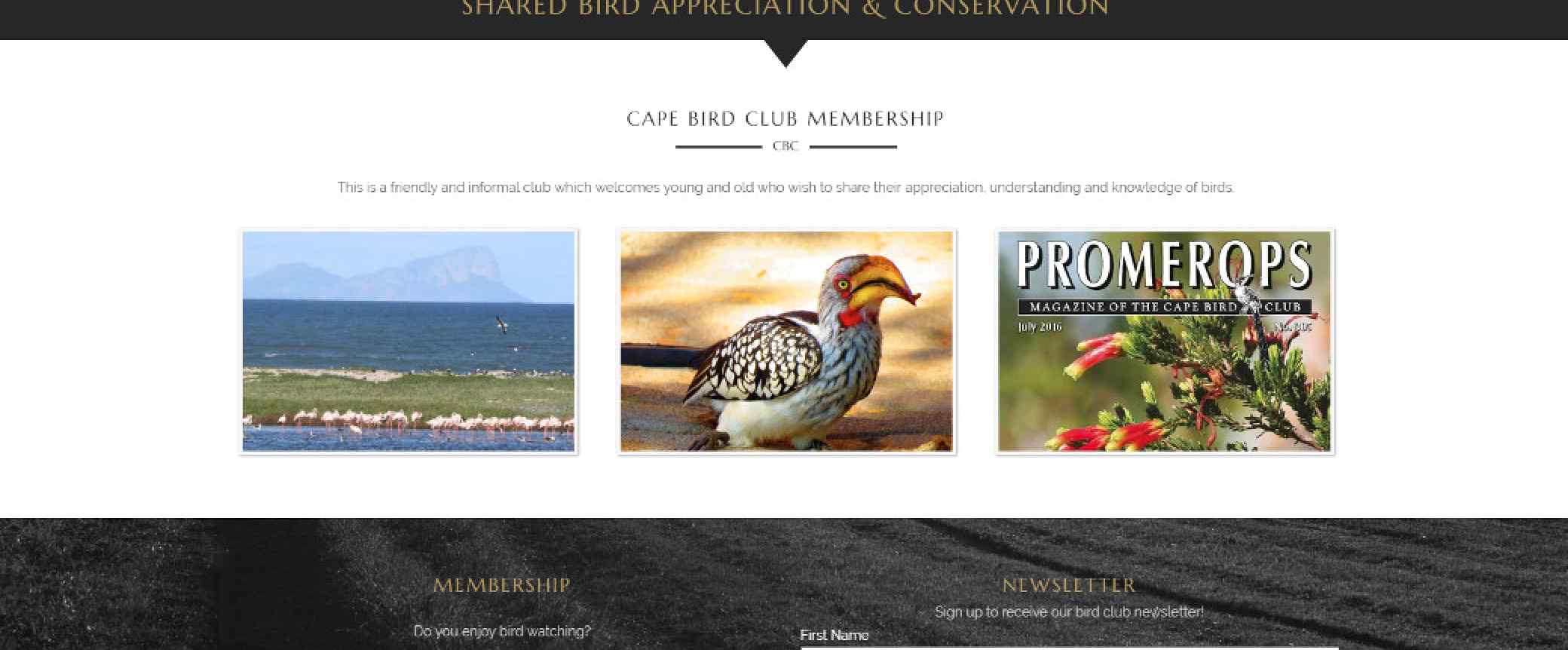 Cape Bird Club